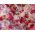 ~ Flowers & Petals Himalayan Infused Bath Salts ~