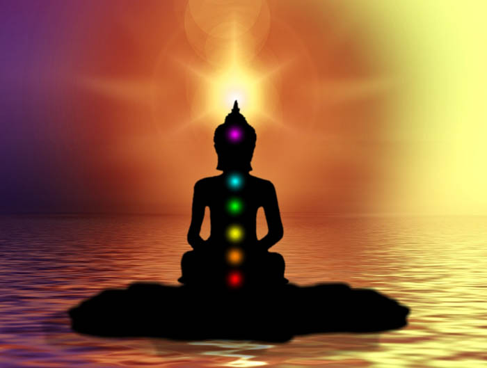 Meditation & Yoga