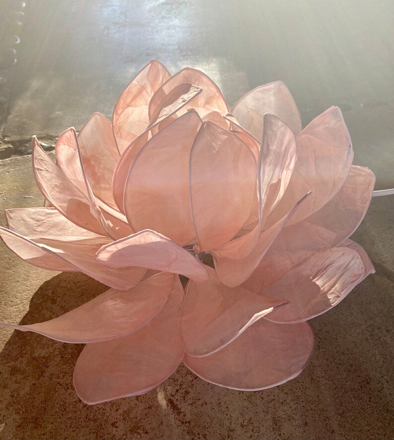 Lotus