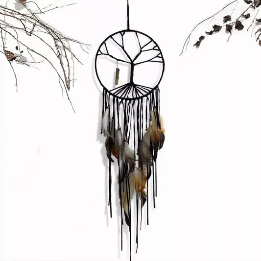 ~ Dreamcatcher ~