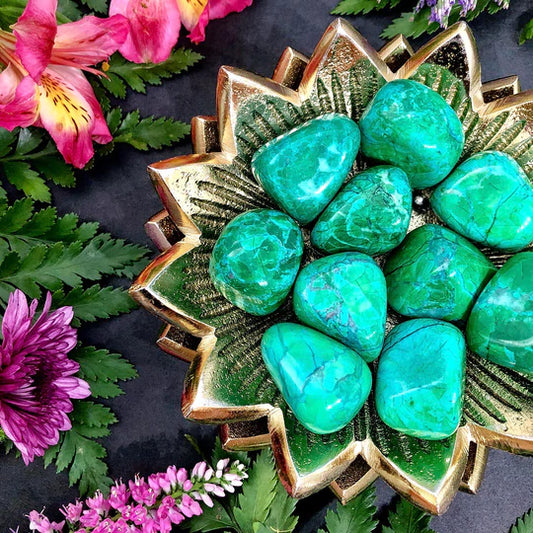 ~ Chrysocolla Howlite Tumbled Gemstone ~