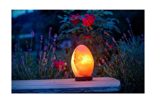 ~ Himalayan Egg Shaped Salt Lamp ~