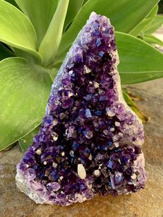 ~ Amethyst Geodes ~