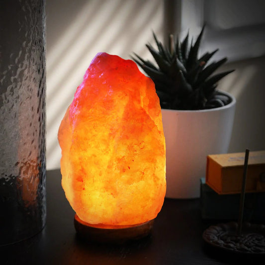 ~ Himalayan Salt Lamp ~
